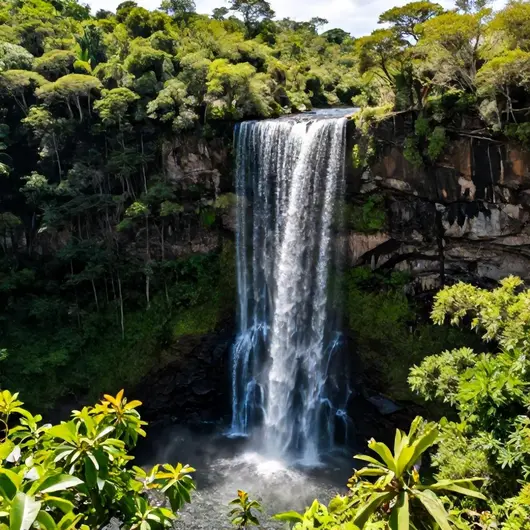 Cachoeira do Macapá: Um Refúgio Natural