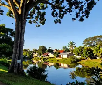 Conheça a APA e a Vila do Curiaú em Macapá - AP
