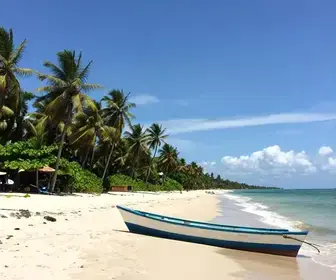 Descubra a Praia da Fazendinha em Macapá: Beleza e Tradição Descubra a Praia da Fazendinha em Macapá: Beleza e Tradição