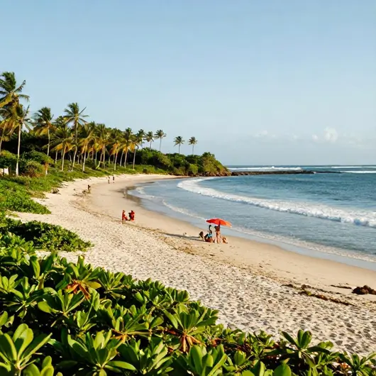 Descubra a Praia da Fazendinha