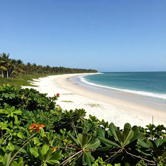 Descubra a Praia de Macapá Piauí Descubra a Praia de Macapá Piauí