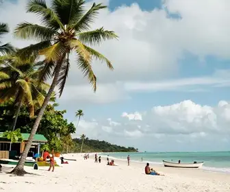 Descubra o Balneário do Curiaú: Praia Paradisíaca em Macapá - AP