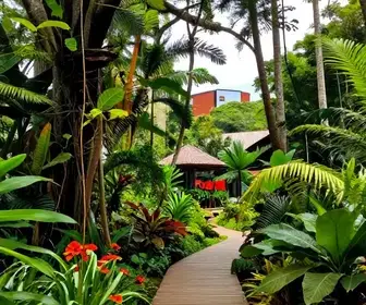 Descubra o Bioparque da Amazônia: Natureza e Conservação em Macapá