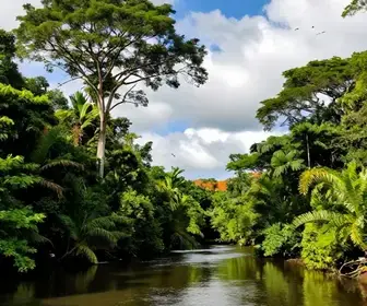 Descubra o Parque Nacional do Cabo Orange: Natureza Exuberante em Macapá