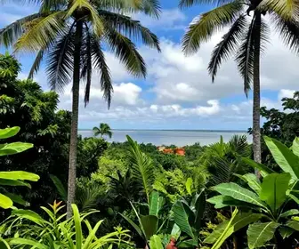 Entenda o Clima em Macapá: Guia Completo para Visitantes