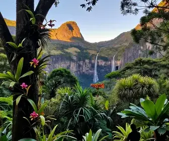 Explore o Parque Nacional Montanhas do Tumucumaque: Natureza Exuberante em Macapá