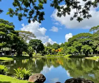 Os 14 melhores locais de natureza em Macapá: um guia completo Os 14 melhores locais de natureza em Macapá: um guia completo