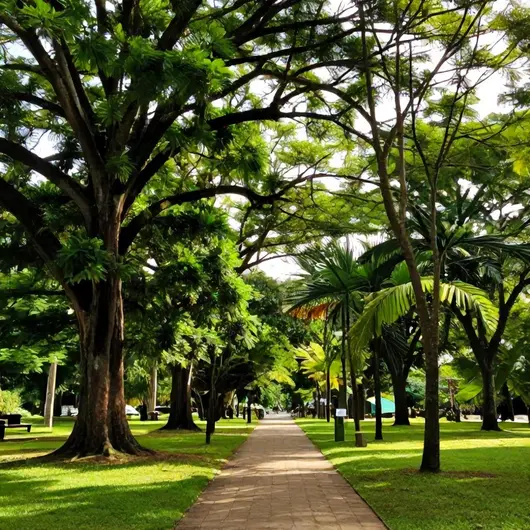 Parque do Forte ou Lugar Bonito: Um Refúgio Natural em Macapá