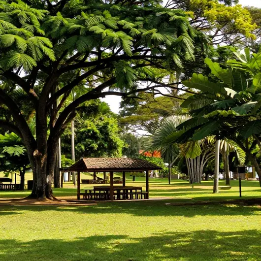 Preamar Turismo: Explore as Belezas de Macapá