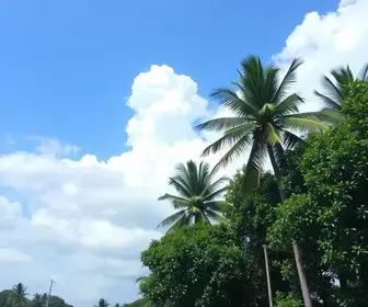 previsão do tempo em Macapá